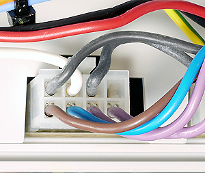 bx pt suprima he plug2 proc 300.jpg